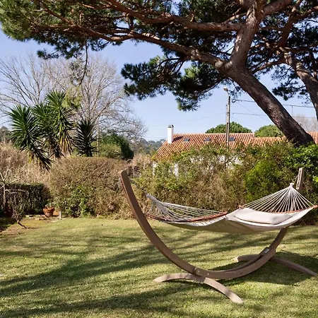 Altido Idyllic House With Pool And Garden In Colares *