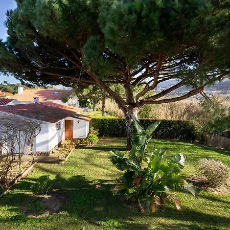 Casa vacanze Altido Idyllic House With Pool And Garden In Colares